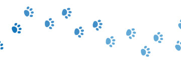 dogster paw divider